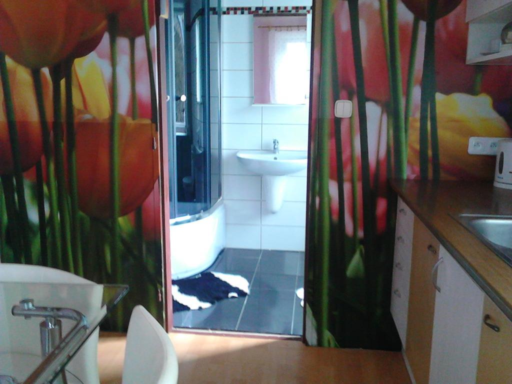 Appartement Jiretinska Chaloupka à Jiřetín pod Jedlovou Extérieur photo