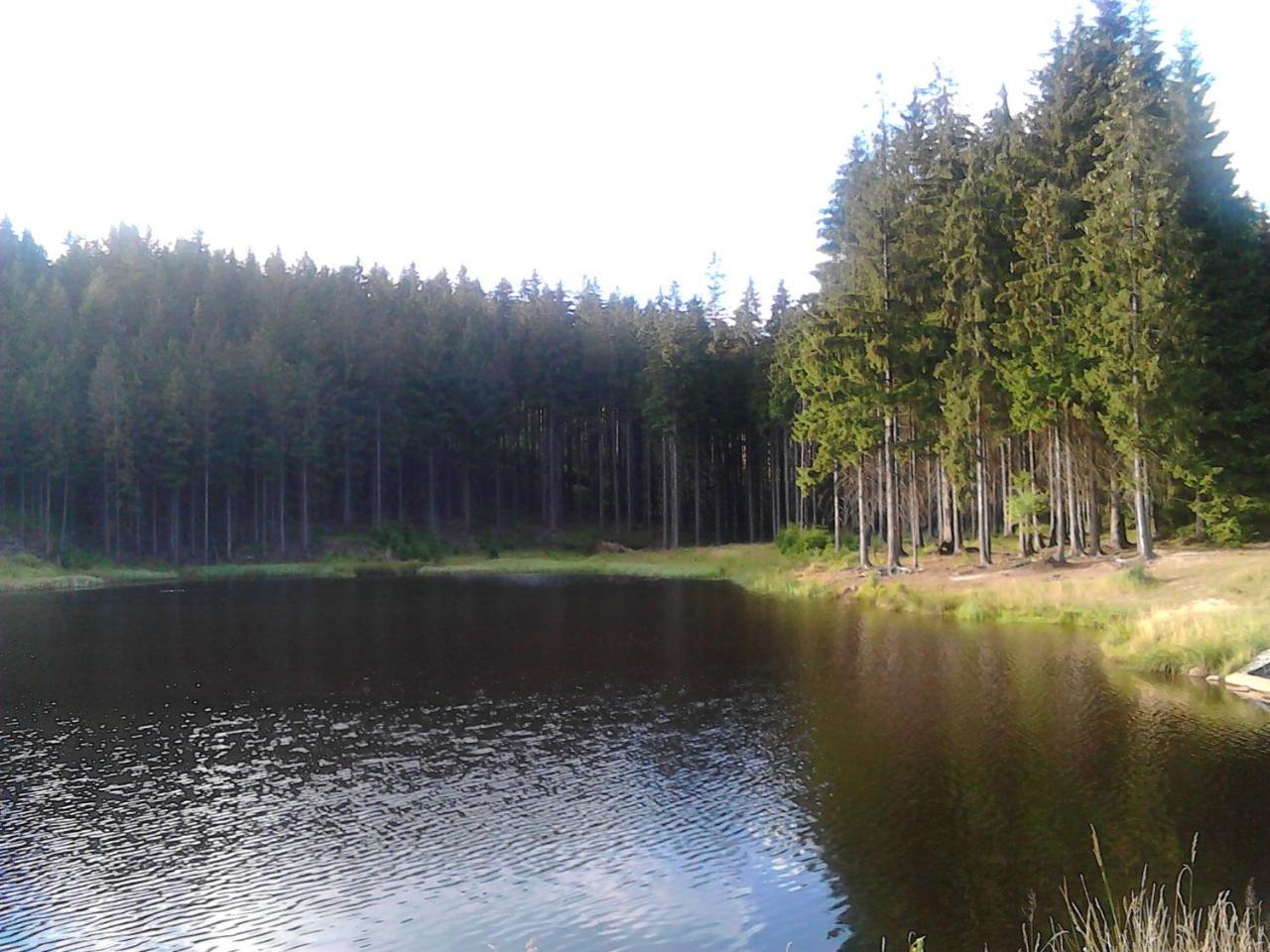 Appartement Jiretinska Chaloupka à Jiřetín pod Jedlovou Extérieur photo
