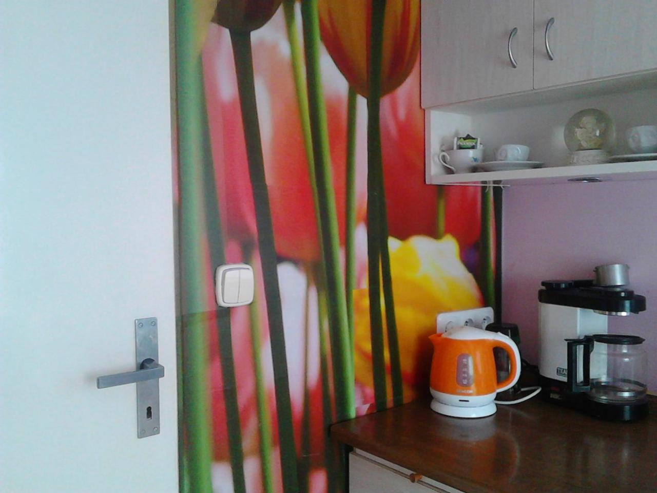 Appartement Jiretinska Chaloupka à Jiřetín pod Jedlovou Extérieur photo